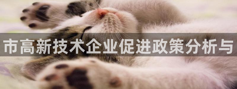 市高新技术企业促进政策分析与