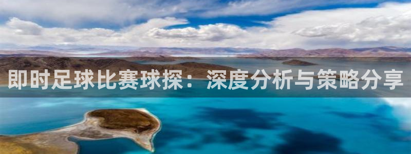 即时足球比赛球探：深度分析与策略分享