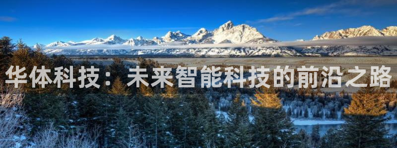 华体科技：未来智能科技的前沿之路